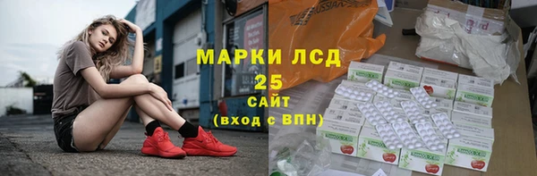 прущий лед Абаза