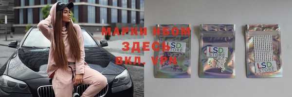 прущий лед Абаза