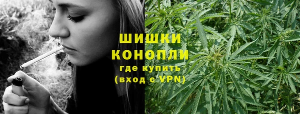 прущий лед Абаза