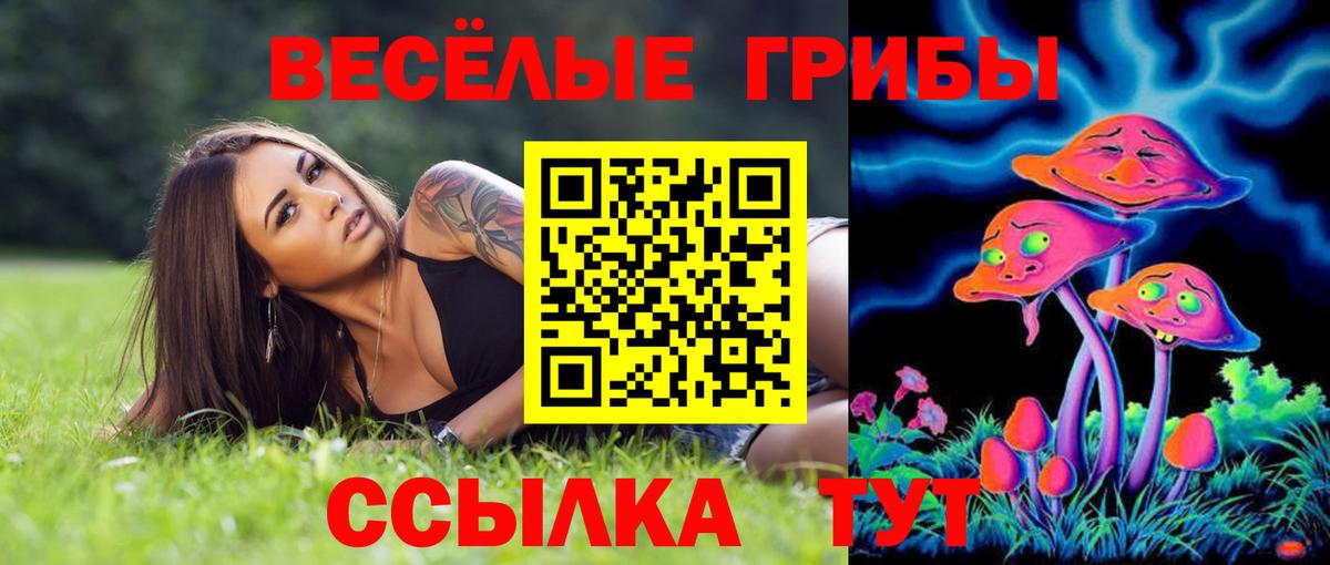 Галлюциногенные грибы прущие грибы Юрга