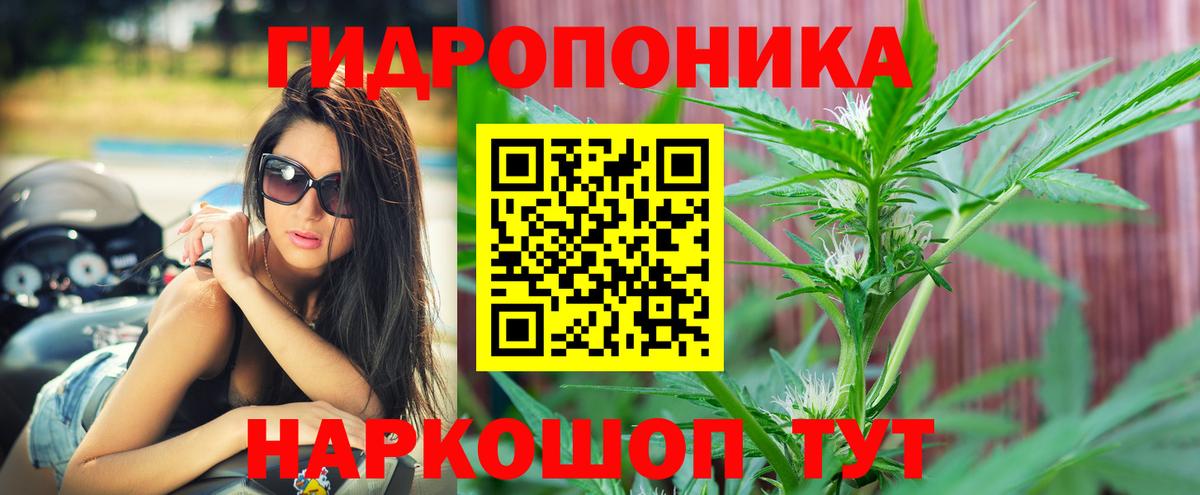 Бошки Шишки THC 21%  Бошки Шишки White Widow  Вход с VPN  МАРИХУАНА VHQ  Юрга 